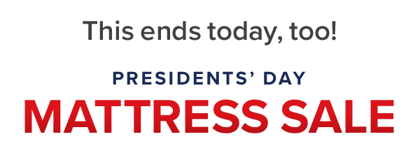 Shop All Dream Mattress