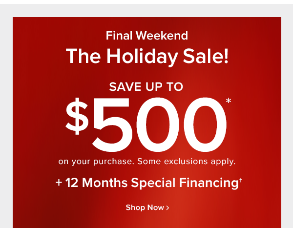 Final Weekend The holiday sale! save up to $500 off on your purchase. Some exclusions apply. +12 months special financing shop now