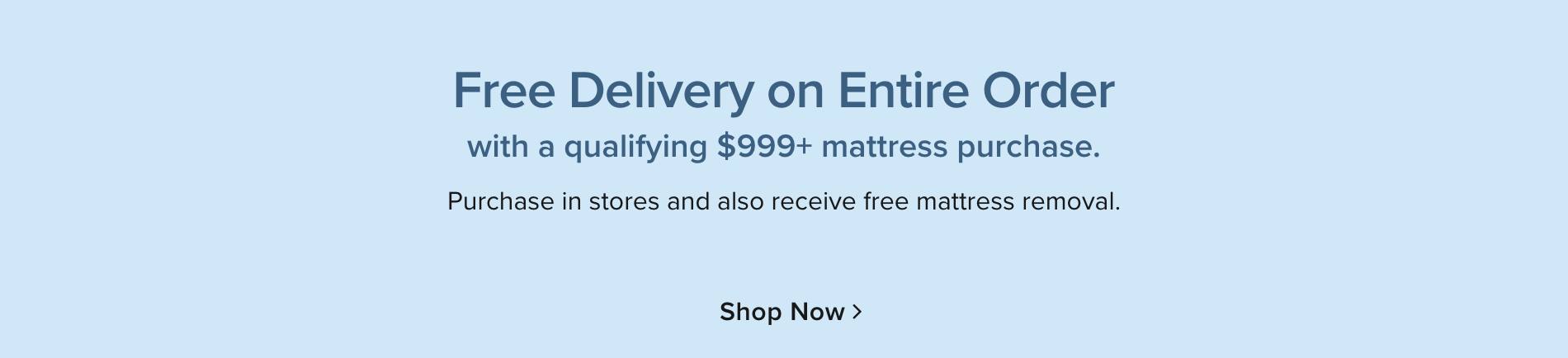 Free Deliver on Entire Order with mattress purchase - Shop Now