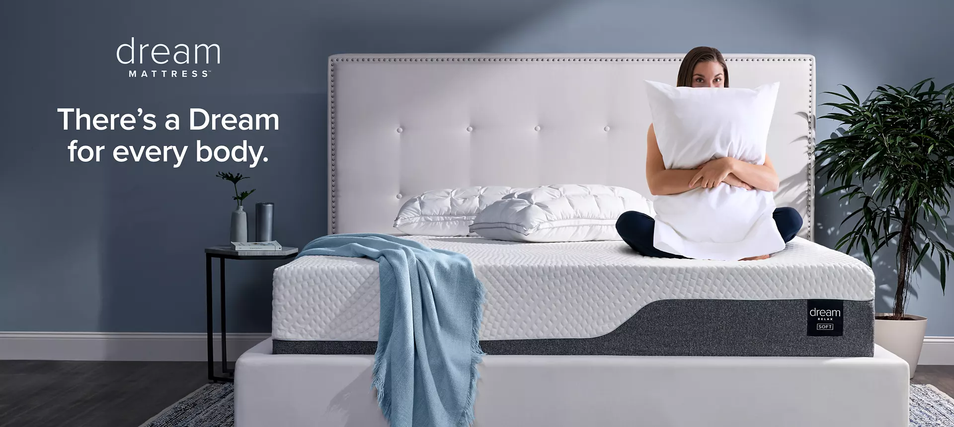 Shop Dream Mattresses