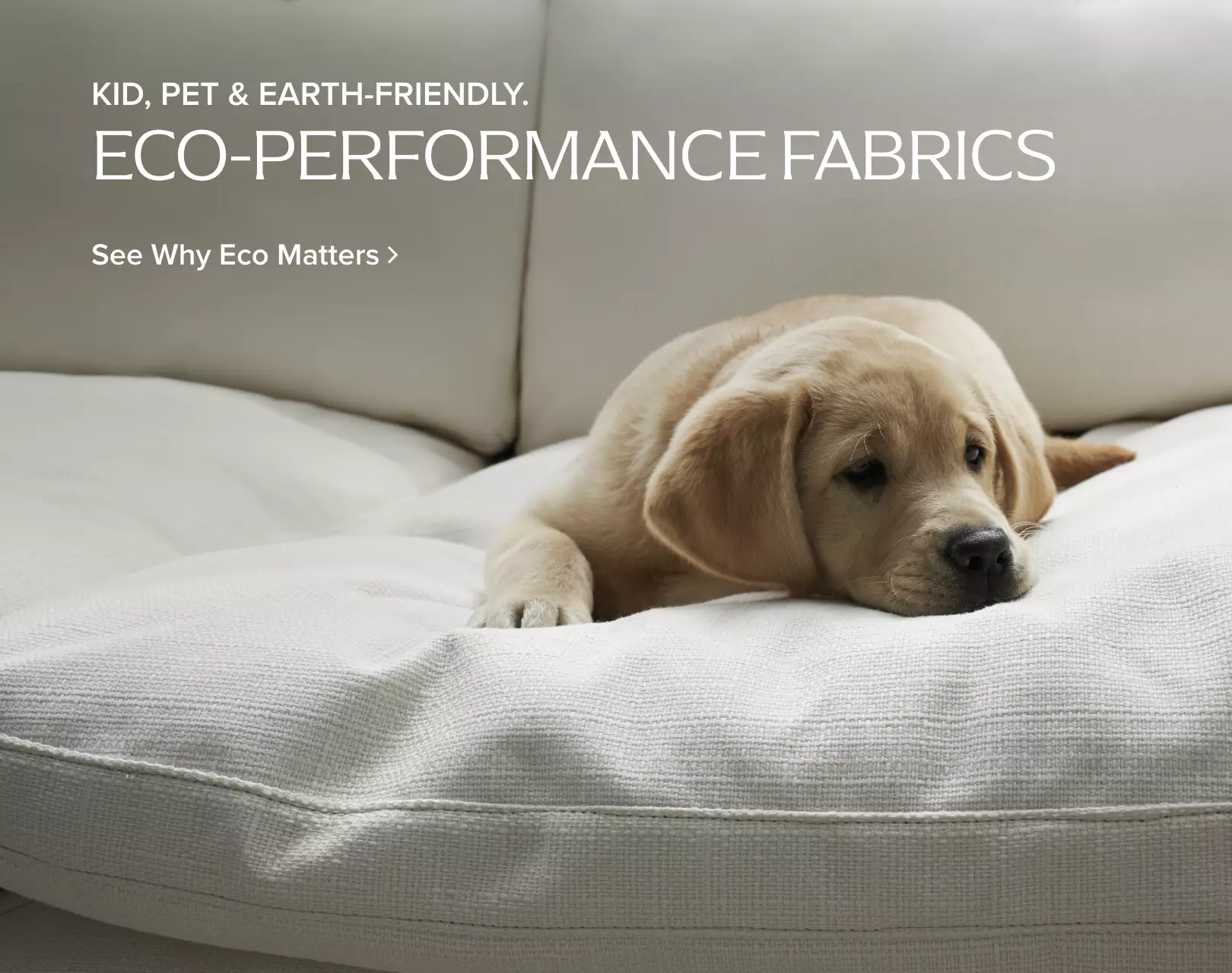 Kid, Pet & Earth Friendly Eco Performance Fabrics See why eco matters >