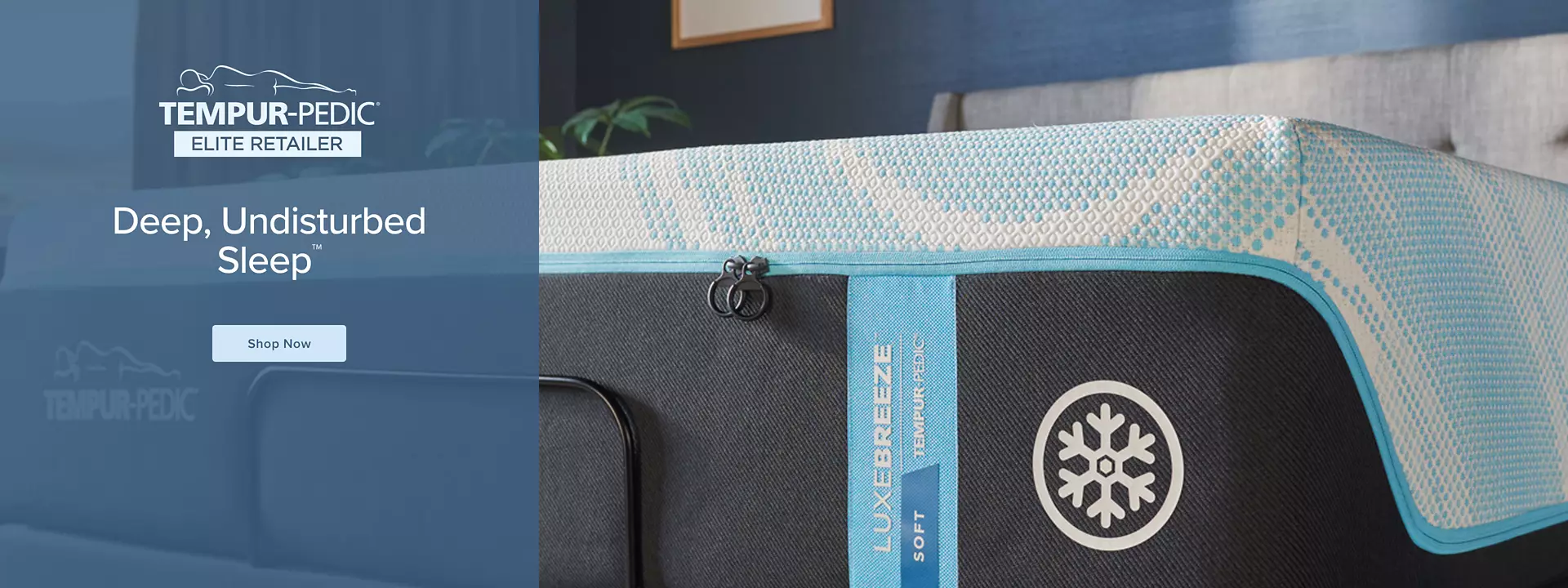 TEMPUR-PEDIC Elite Retailer Deep, Undisturbed Sleep - Shop Now